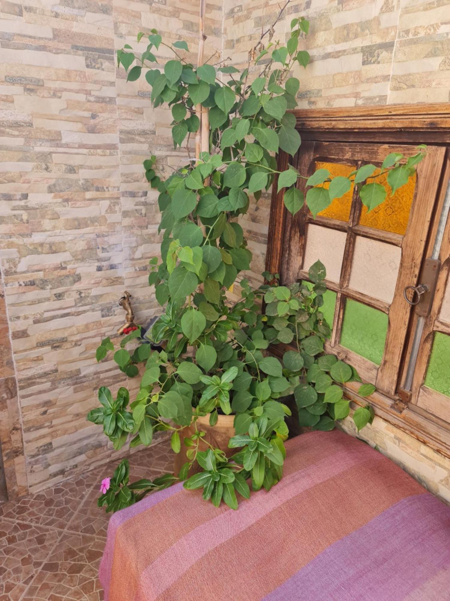 Riad Bab Almadina Marakeş Dış mekan fotoğraf